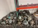 Brass Water Meters