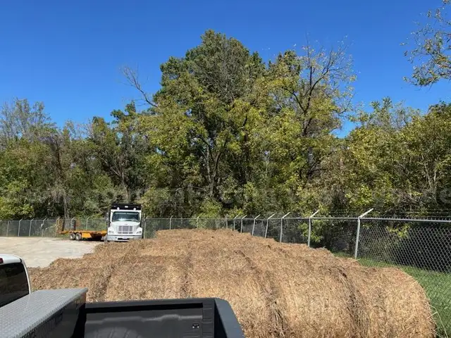 Hay
