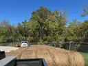 Hay