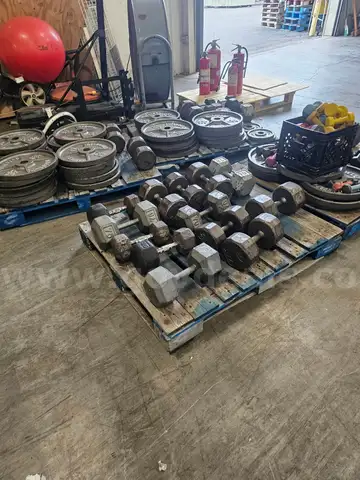 (4) PALLETS OF ASSORTED WEIGHTS DUMBBELLS AND PLATES
