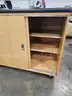 ROLLING STORAGE CABINET (NO KEYS) (36IN H X 48IN W X 24IN D)
