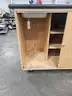 ROLLING STORAGE CABINET (NO KEYS) (36IN H X 48IN W X 24IN D)