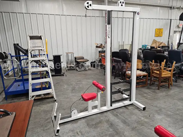 LAT PULL-DOWN MACHINE #1