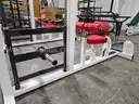 LAT PULL-DOWN MACHINE #1