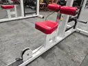 LAT PULL-DOWN MACHINE #2