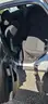 2017 Ford Focus SEDAN 4-DR, 2.0L L4 DOHC 16V.