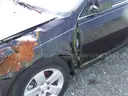 1999 Honda Accord