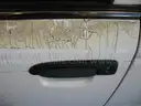 2008 Ford Crown Victoria