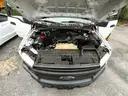 2019 Ford F-150*SALVAGE TITLE* (204297 TM:DOT)