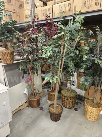 Plastic Plants (204451 NM)