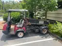 2009 Toro Workman 3100 (204143 DC)