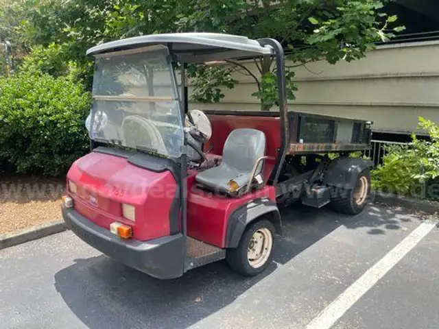 2009 Toro Workman 3100 (204143 DC)