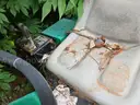 Cushman Groom Master Bunker Rake ***FOR PARTS ONLY*** (204701 AJ)