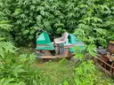 Cushman Groom Master Bunker Rake ***FOR PARTS ONLY*** (204701 AJ)