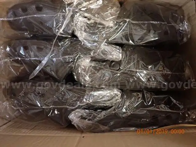 Off Brand Crocs (206035 TM)