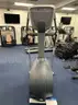 Precor Self Climber  (209080 AJ)