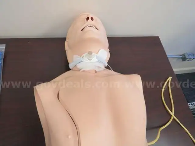 Medical Training Models (209412 AJ)