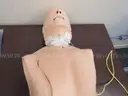 Medical Training Models (209412 AJ)