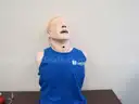 Medical Training Models (209412 AJ)