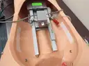 Medical Training Models (209412 AJ)