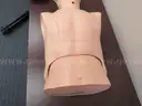 Medical Training Models (209412 AJ)