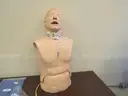 Medical Training Models (209412 AJ)