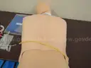 Medical Training Models (209412 AJ)