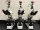 Microscopes (208721 NB)