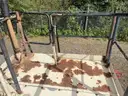 2002 FIHS FINN Hydroseeder  (209798 AJ:DOT)