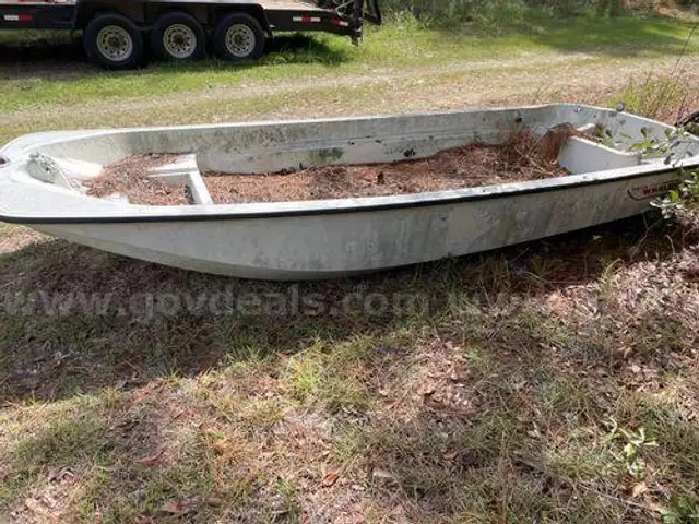 Boston Whaler (209069 DC)