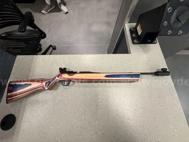 Air Rifles (211093 DC)