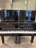Grand Piano (211794 TM)