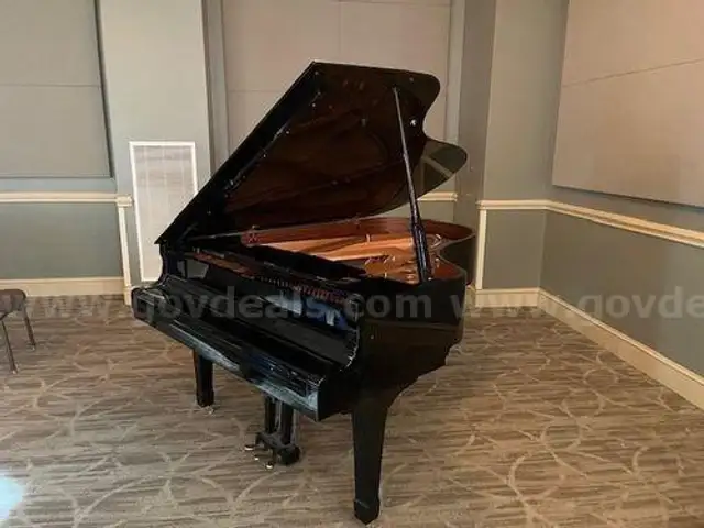 Grand Piano (211794 TM)