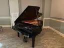 Grand Piano (211794 TM)