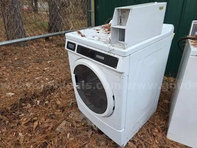 Commercial washer (212114 BT)
