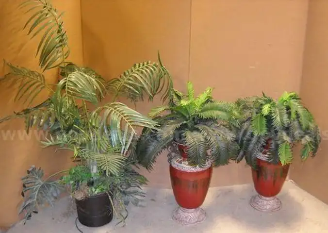 Vases &  Artificial Plants (213104 NM)
