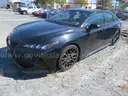 2021 Toyota Avalon
