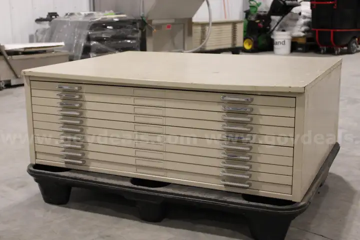 10 Drawer Map File Cabinet (Lot B)