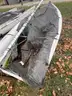 1997 Johnson Boat Works FJ Sailboat