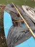 1975 Vanguard International 470 Sailboat