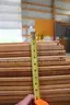 (232)Oak Boards 81&#xBD;-82&#x22; (Lot B)