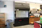 Mott Laboratory Fume Hood with Safety Cabinet Base