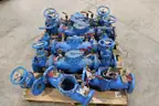 (6)Watts 2½" 007 Backflow Preventers