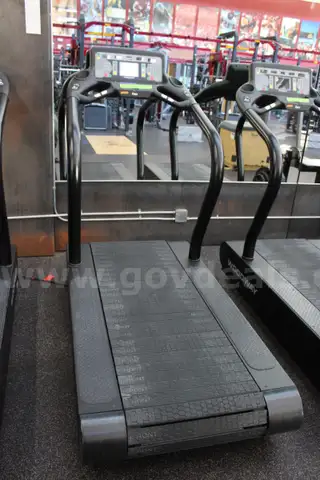Woodway Force 1.0 Treadmill with Resistance Apparatus