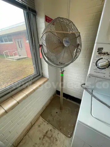 Pedestal Fan