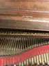 Steinway Grand Piano