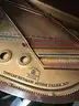 Steinway Grand Piano