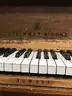 Steinway Grand Piano