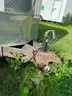 Equipment Trailer