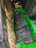 Train with 3 Cars